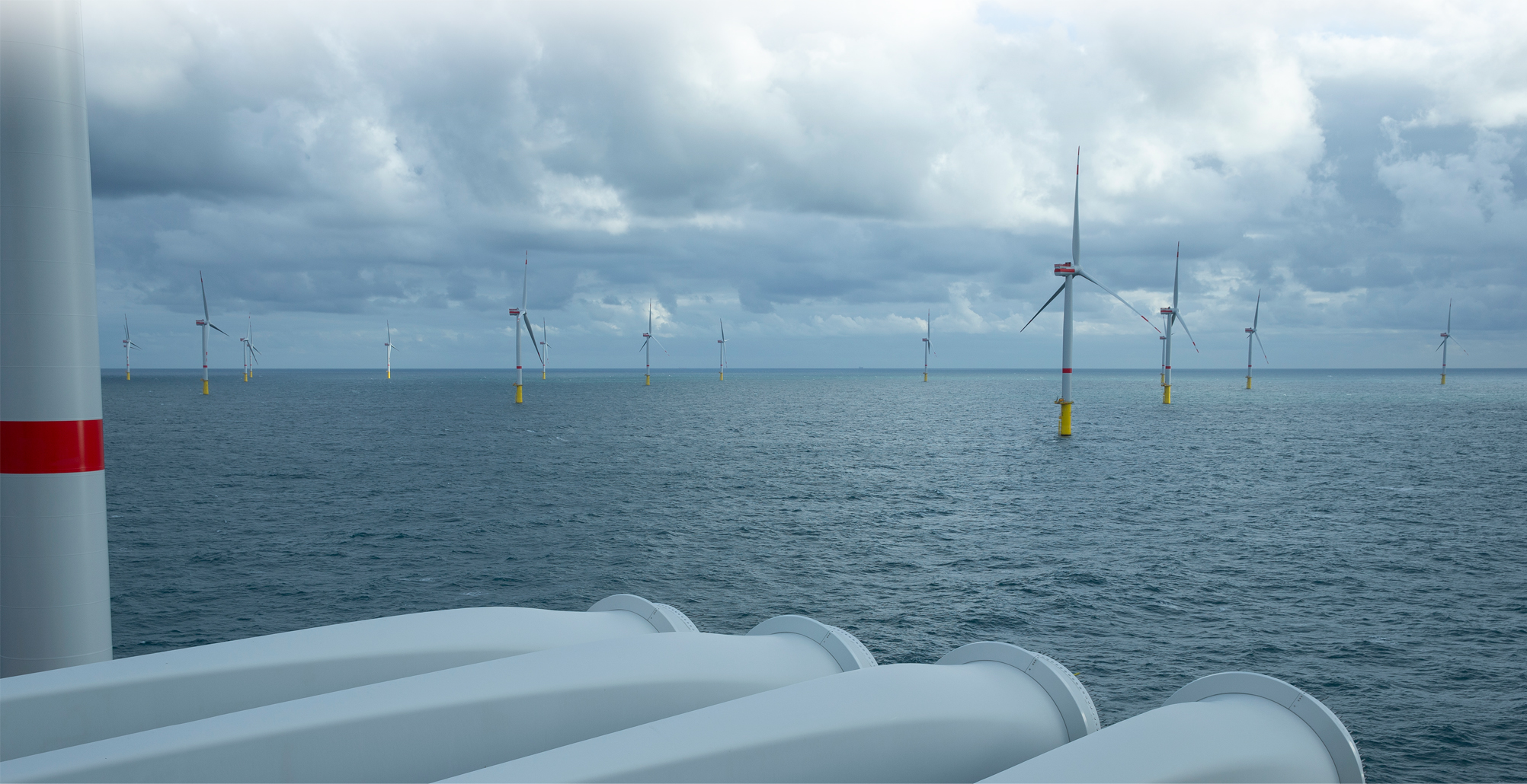 FOW 06635 Edited Scaled HEADER