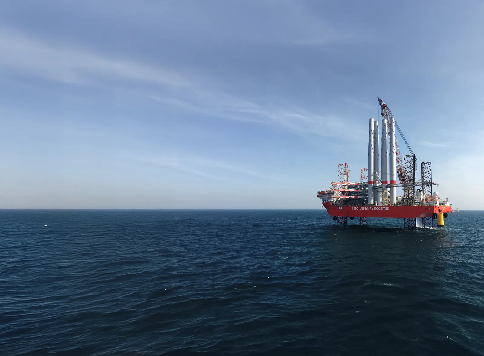 Blue Tern At Hohe See 03