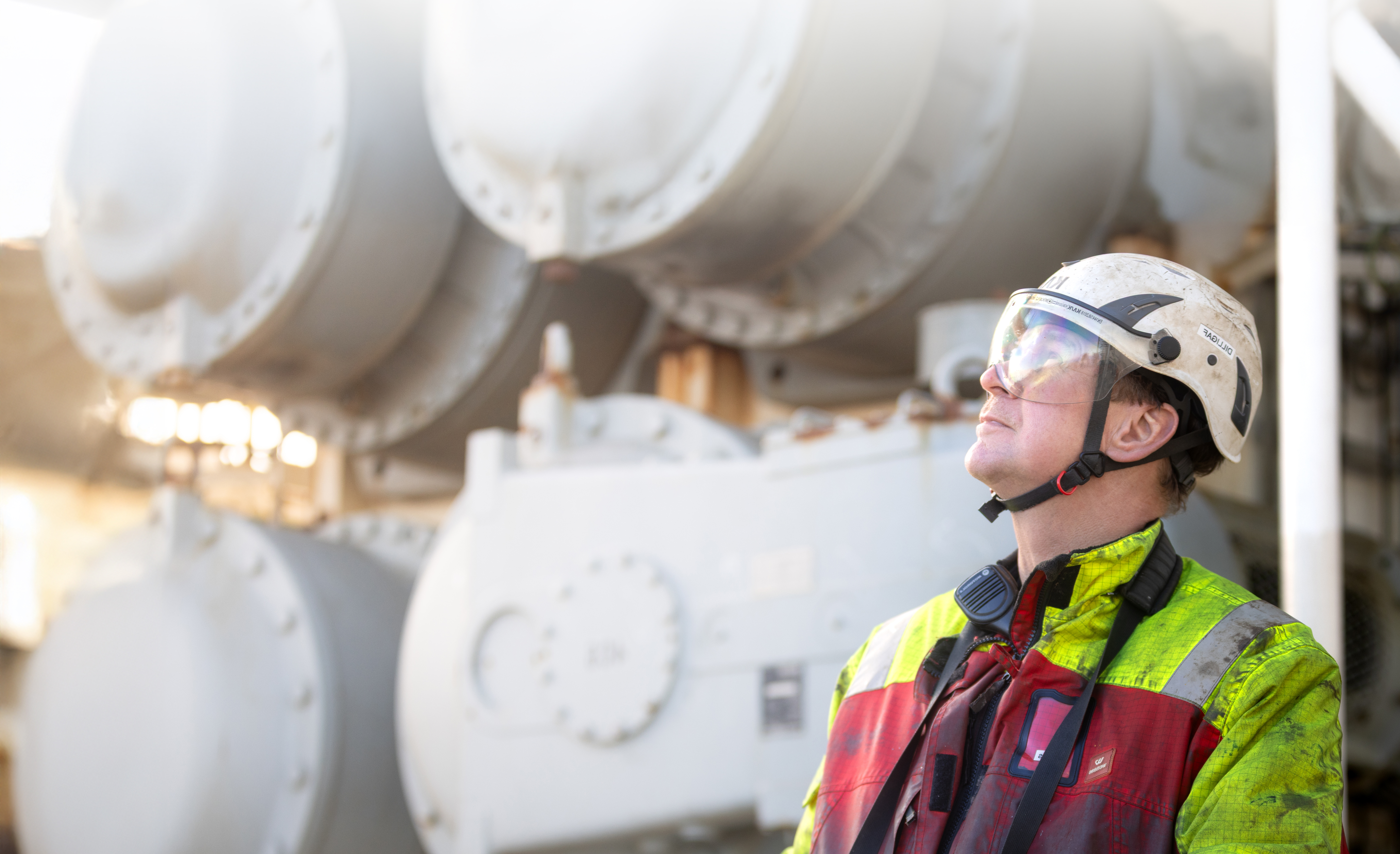 FOWIC BLUE TERN 14 Expanded Reversed Cropped2 HEADER