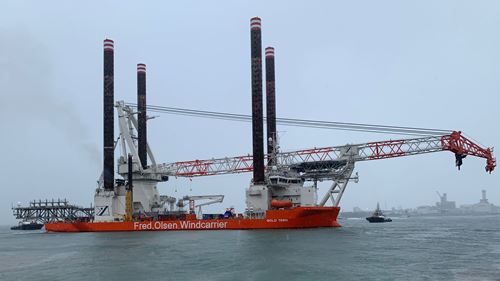 Bold Tern With New Crane In Water 1