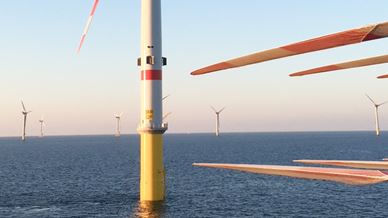 What Value 1680X668 03