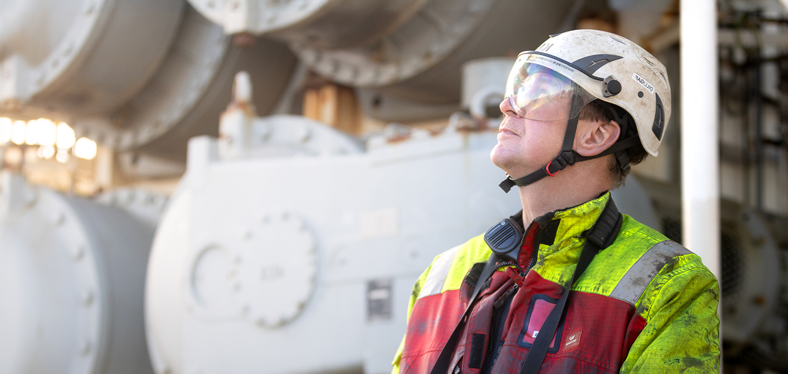 FOWIC BLUE TERN 14 Expanded Reversed Stickybg 1600X760px