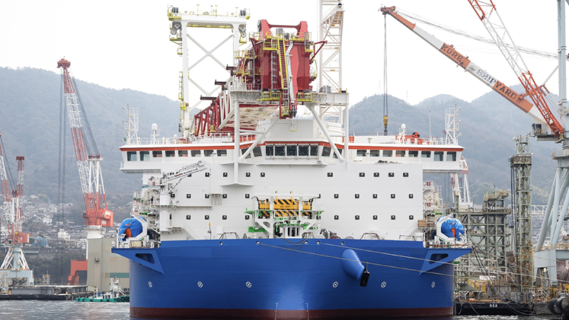 Bold Tern Taiwan 2 (1)