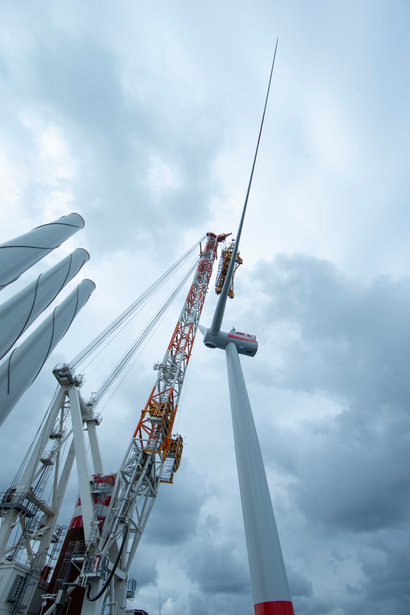 A04b0ced5788c3ff2f7c301e494ce5c3478e45a5 800X1200