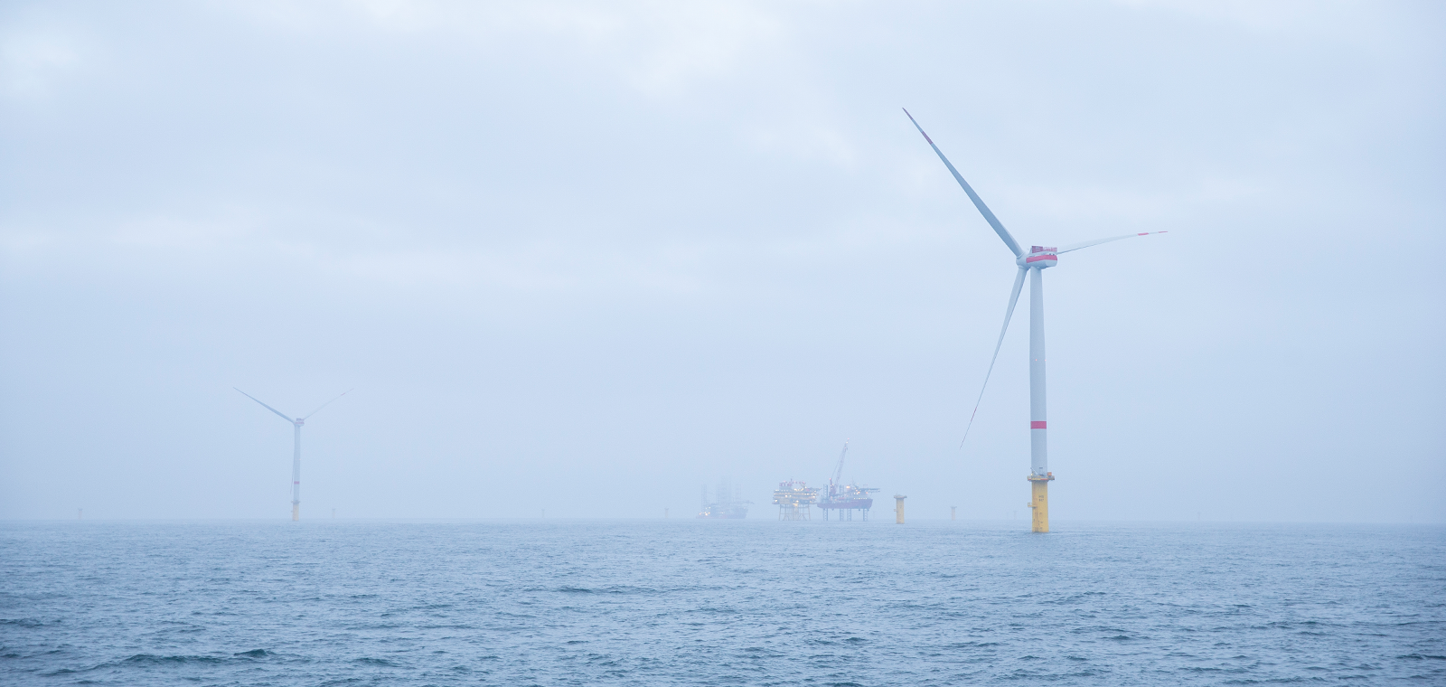 FOW 11589 Stickybg 1600X760px