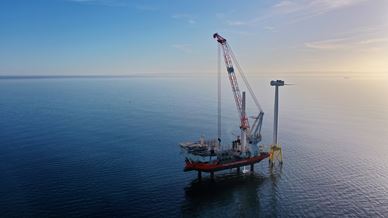 Org 730F930d7d36c769 1738853828000