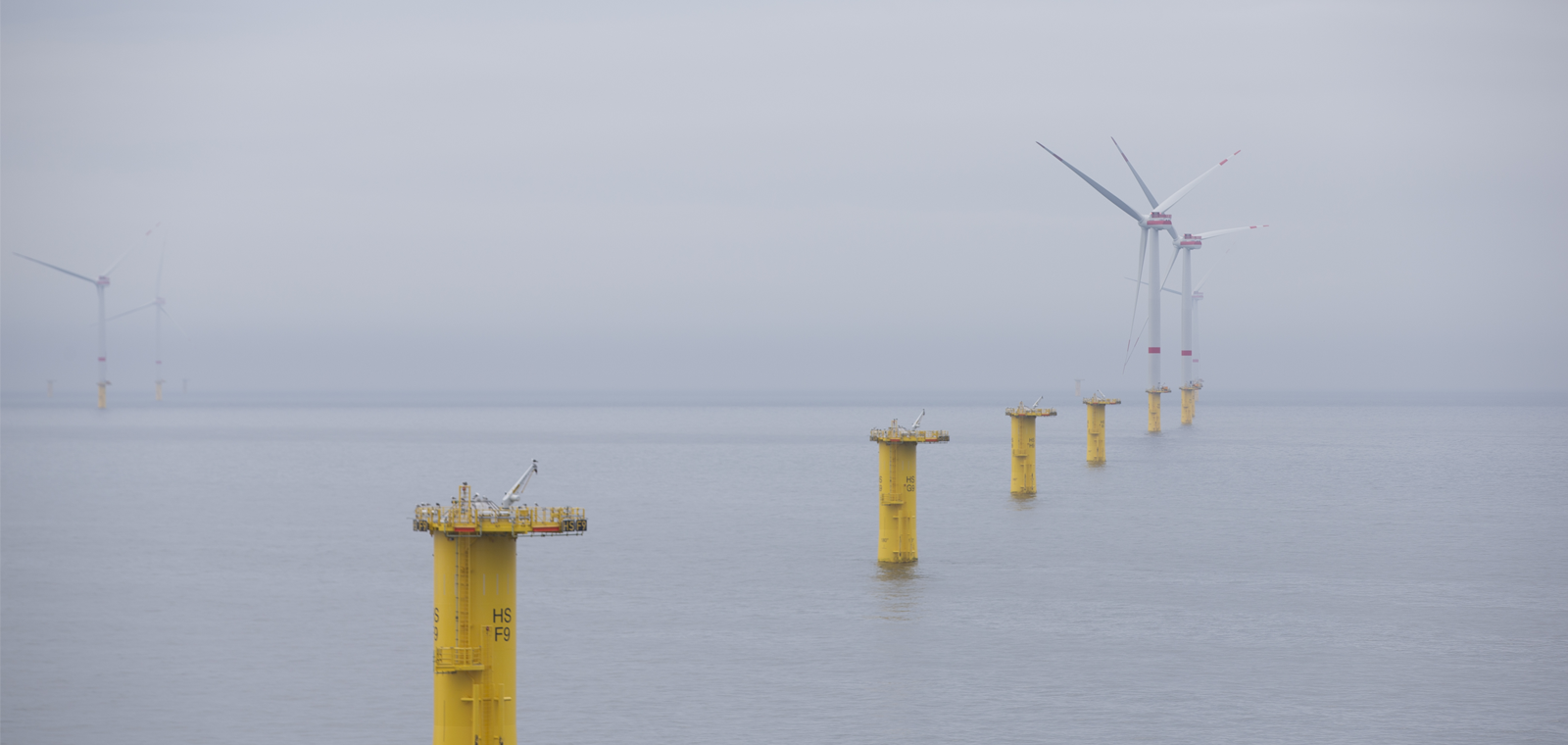 Tps Stickybg 1600X760px